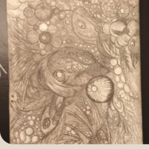 DESENHO EM TELA COM LÁPIS GRAFITE EVERNIZ TRANSPARENTE